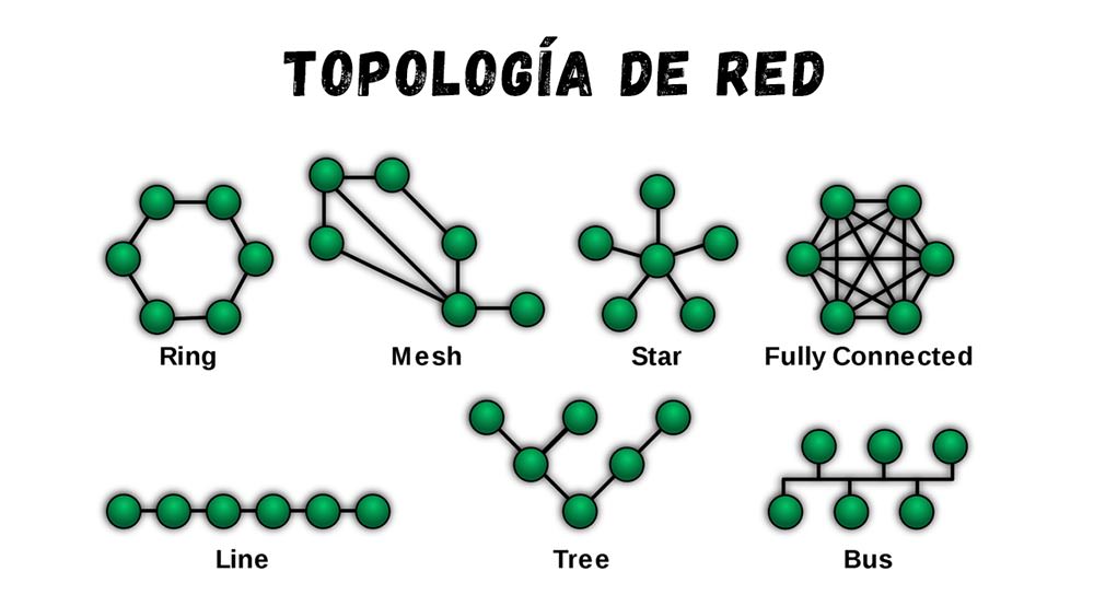 ¿Qué son las Topologías de red y cuáles son sus tipos? 3 Topologías de red