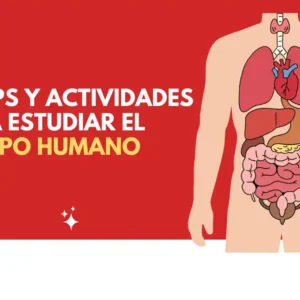 Cuerpo humano