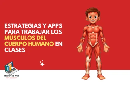 músculos del cuerpo humano