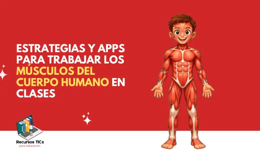 músculos del cuerpo humano