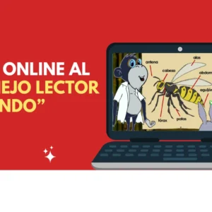 Conejo lector segundo basico