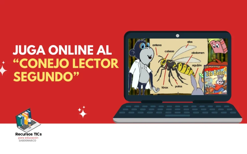 Conejo lector segundo basico